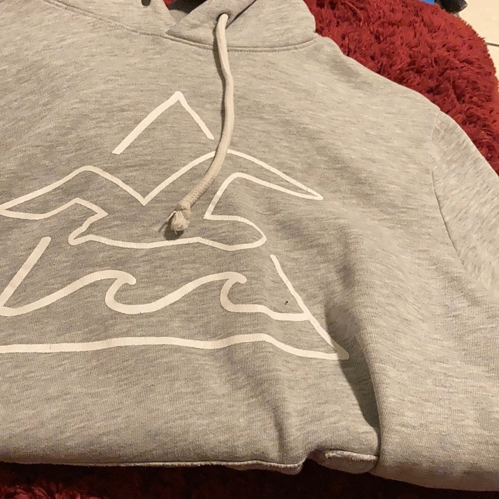 Grey hollister hoodie